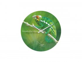 Часы настенные Nicole Time NT503 в Хандыге - handyga.mebel-nsk.ru | фото